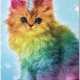 Unicorn kittens's picture